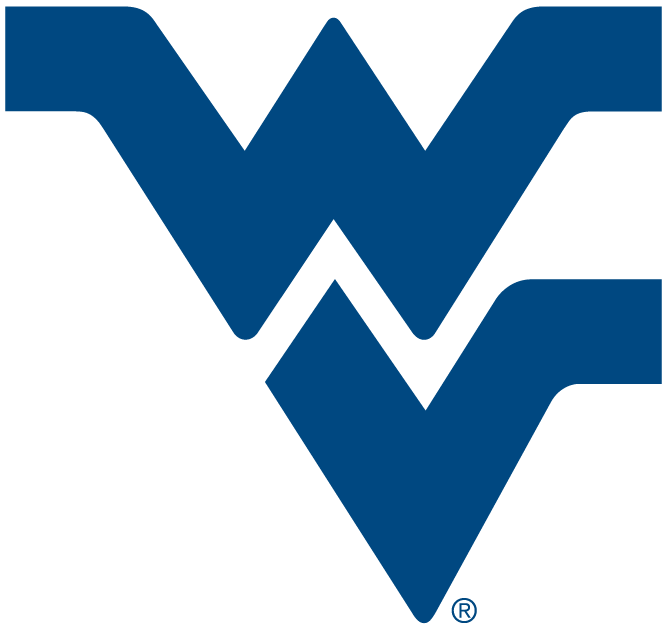 West Virginia Mountaineers 1980-Pres Alternate Logo v6 diy DTF decal sticker